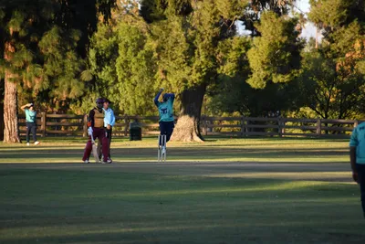 DSC_2397 (Large).JPG